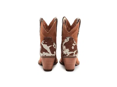 Dingo Texas Charm In Brown