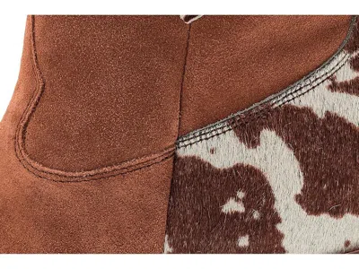 Dingo Texas Charm In Brown