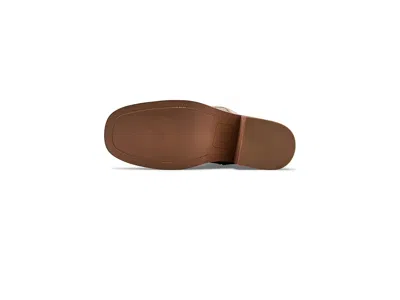 Dingo Patches In Brown
