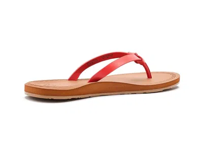 Roxy Luv Me Knot In Red