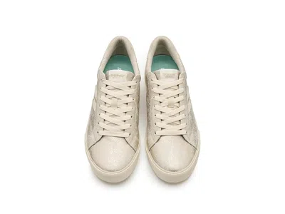 Dr. Scholl's Offline In Multi
