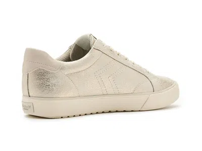 Dr. Scholl's Offline In Multi