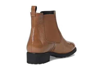 Sas Delaney In Brown