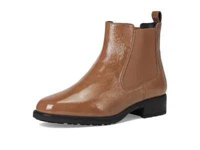 Sas Delaney In Brown