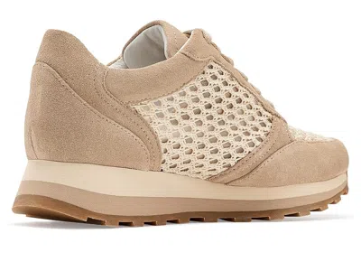 Johnston & Murphy Piper Knit Panel Sneaker In Neutral