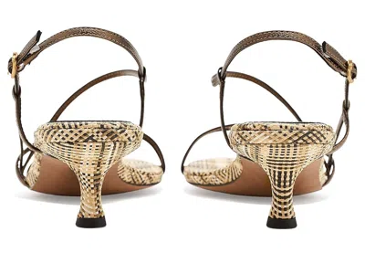 Sam Edelman Cora Slingback Kitten Heel Sandal In Animal Print
