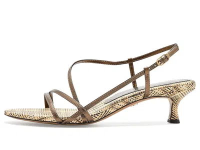 Sam Edelman Cora Slingback Kitten Heel Sandal In Animal Print