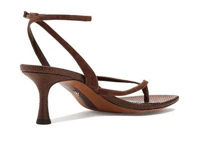 Sam Edelman Pax In Brown