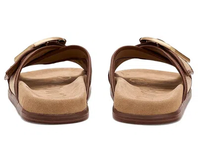 Sam Edelman Darla Slide Sandals In Brown