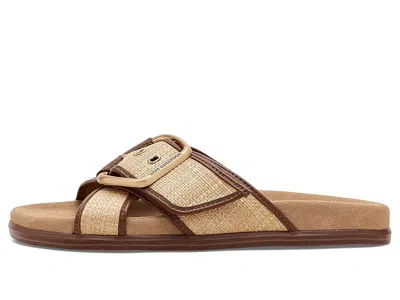 Sam Edelman Darla Slide Sandals In Brown