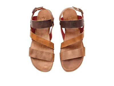 Bed Stu Superb In Brown