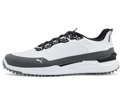 Puma Golf Ignite Elevate X In Multi