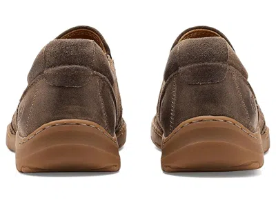 Born Sandor In Brown