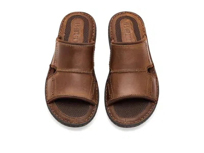 Born Maldon In Brown