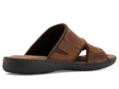 Born Maldon In Brown