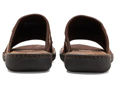 Born Maldon In Brown