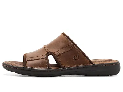 Born Maldon In Brown