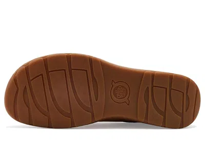 Born Samson In Brown