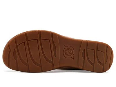 Born Samson In Multi