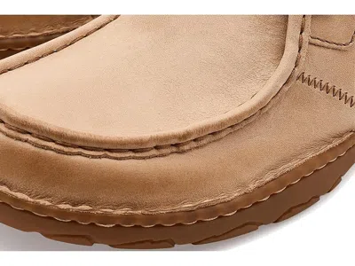 Born Samson In Multi