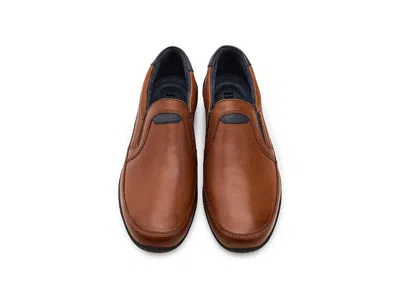 Born Wilkins In Brown