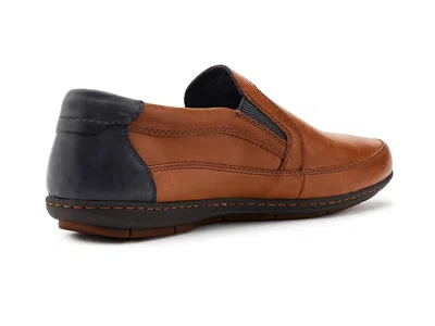Born Wilkins In Brown
