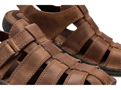 Born Murphy In Brown