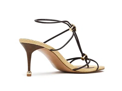 Steve Madden Ramos Strappy Sandal In Multi