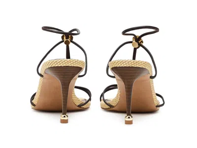 Steve Madden Ramos Strappy Sandal In Multi