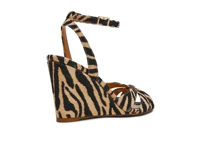 Steve Madden Harbor In Black