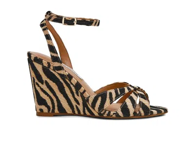 Steve Madden Harbor In Black