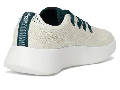 Allbirds Tree Runner Go