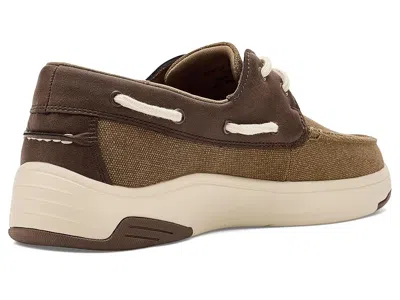 Vance Catamaran In Brown