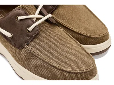 Vance Catamaran In Brown