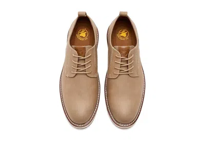 Deer Stags Executive In Nude