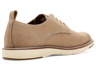 Deer Stags Executive In Nude