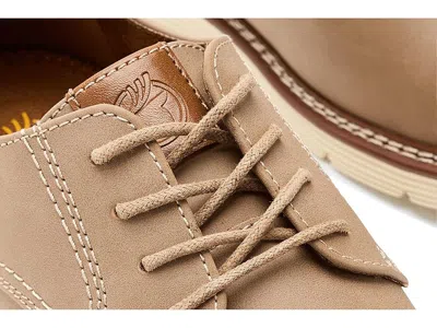 Deer Stags Executive In Nude