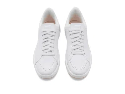 Deer Stags Viper In White