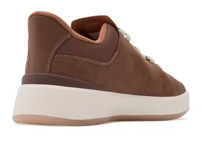 Deer Stags Viper In Brown