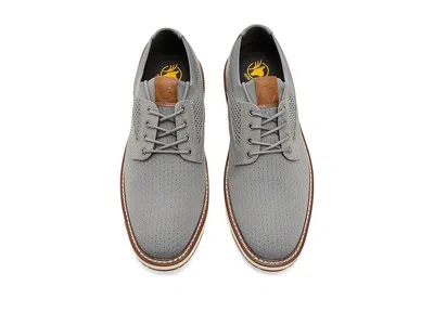 Deer Stags Authority In Gray