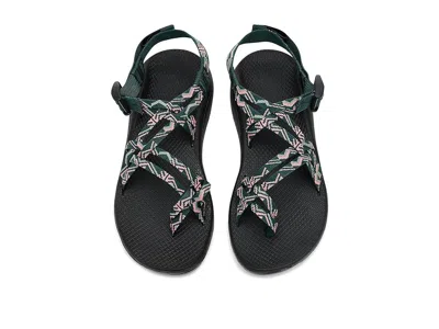 Chaco Zx2 Cloud In Multi