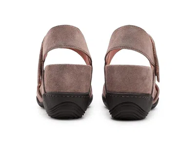 Jambu Nia In Brown