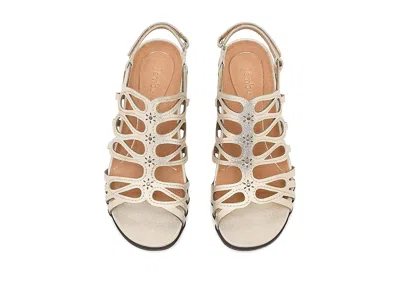 Jambu Miriam In Gold