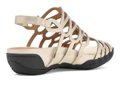 Jambu Miriam In Gold