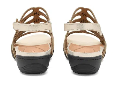 Jambu Miriam In Gold