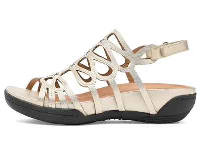 Jambu Miriam In Gold