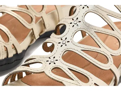 Jambu Miriam In Gold