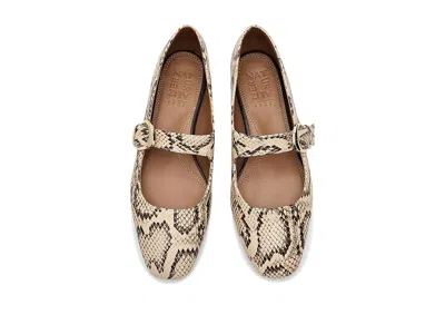 Naturalizer Cosmic In Brown