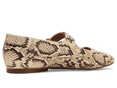 Naturalizer Cosmic In Brown