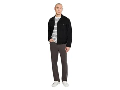 Lacoste Striped Cotton T-shirt In Multi